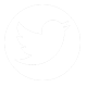 link to twitter page